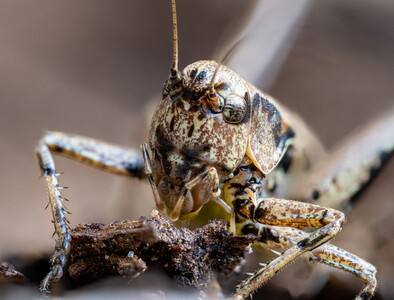 20250731-9260491.551.-HFstackedB,R14,S8+C